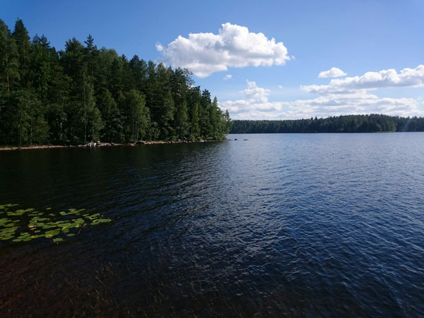 Järvimaisema ja niemi